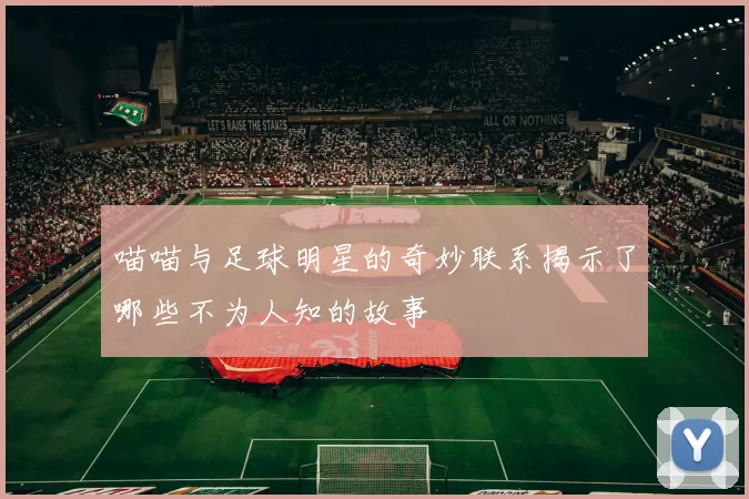 喵喵与足球明星的奇妙联系揭示了哪些不为人知的故事