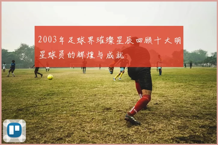 2003年足球界璀璨星辰回顾十大明星球员的辉煌与成就