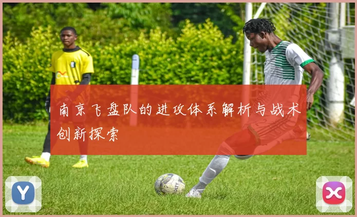 南京飞盘队的进攻体系解析与战术创新探索