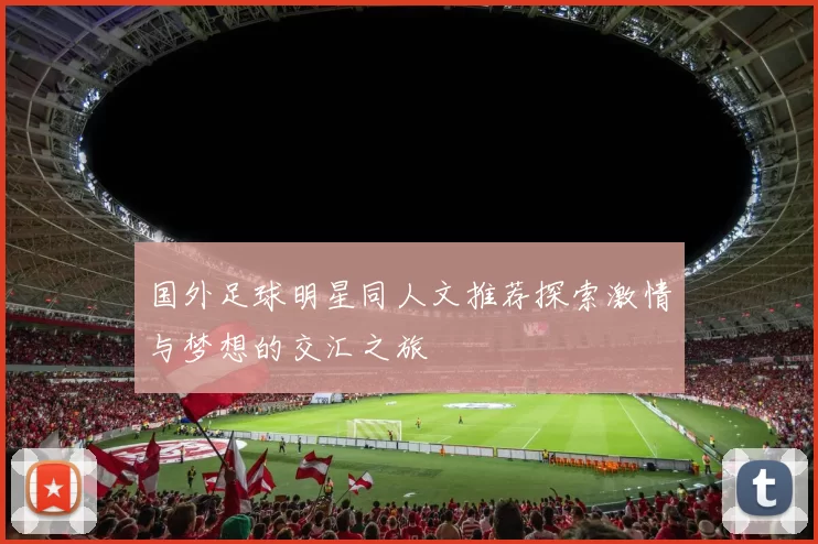 国外足球明星同人文推荐探索激情与梦想的交汇之旅