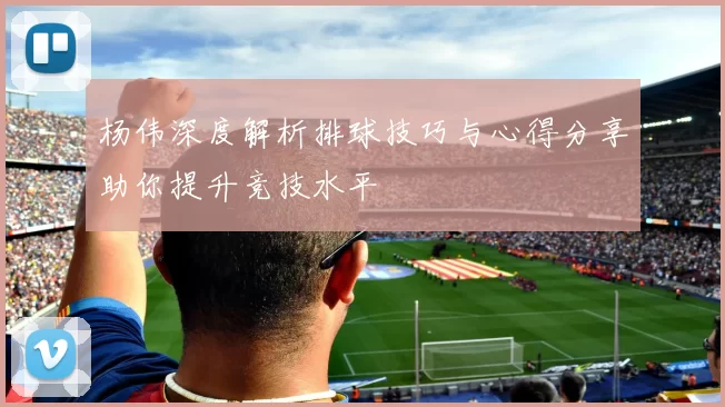 杨伟深度解析排球技巧与心得分享助你提升竞技水平