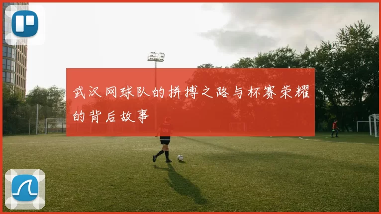 武汉网球队的拼搏之路与杯赛荣耀的背后故事