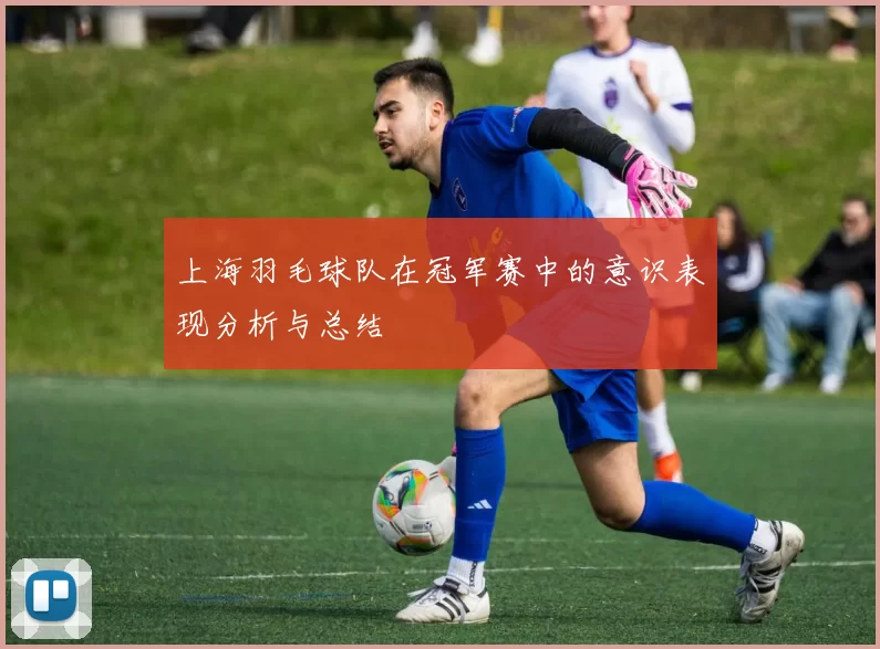 上海羽毛球队在冠军赛中的意识表现分析与总结