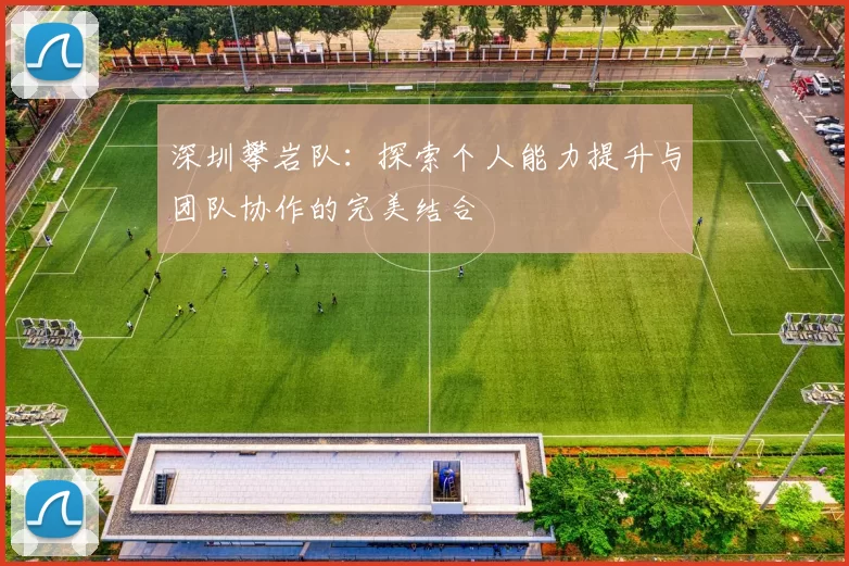 深圳攀岩队：探索个人能力提升与团队协作的完美结合