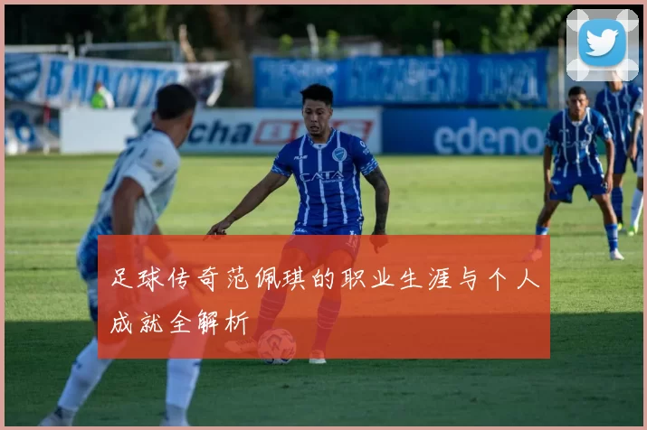 足球传奇范佩琪的职业生涯与个人成就全解析