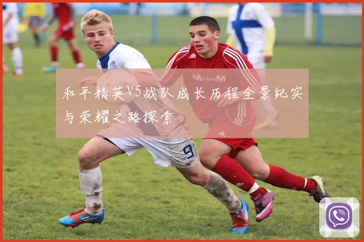 和平精英V5战队成长历程全景纪实与荣耀之路探索
