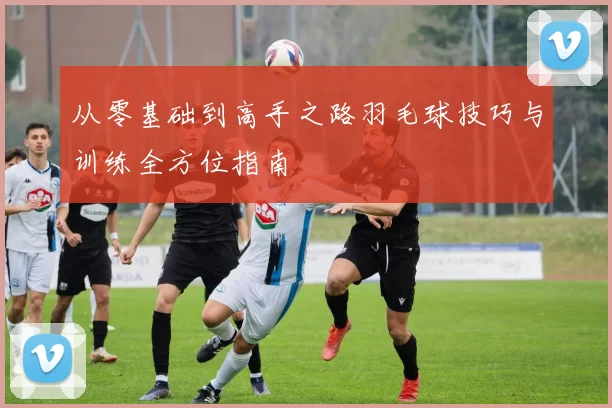 从零基础到高手之路羽毛球技巧与训练全方位指南