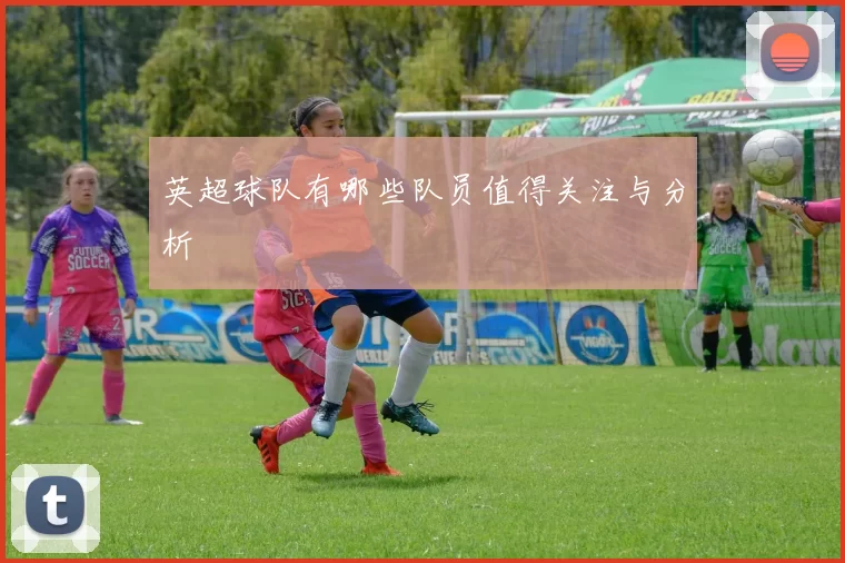 英超球队有哪些队员值得关注与分析