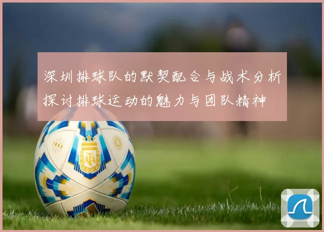 深圳排球队的默契配合与战术分析探讨排球运动的魅力与团队精神