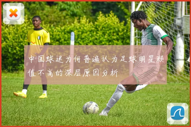 中国球迷为何普遍认为足球明星颜值不高的深层原因分析