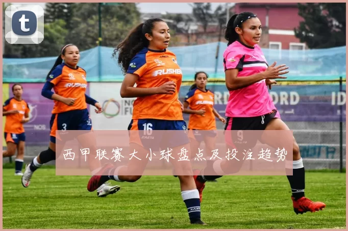 西甲联赛大小球盘点及投注趋势