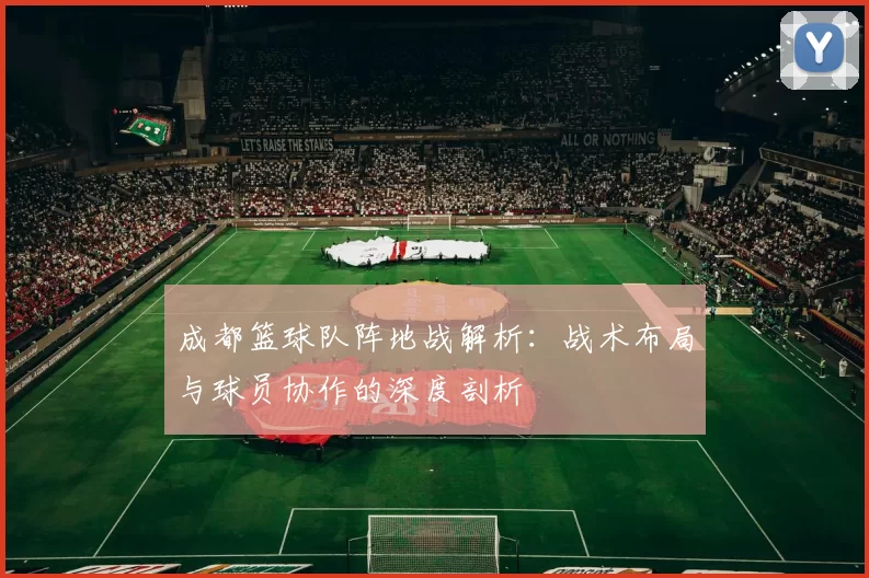 成都篮球队阵地战解析：战术布局与球员协作的深度剖析