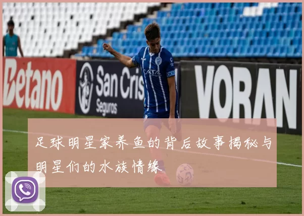 足球明星家养鱼的背后故事揭秘与明星们的水族情缘