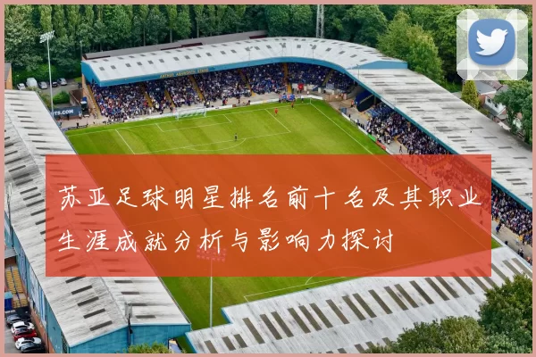 苏亚足球明星排名前十名及其职业生涯成就分析与影响力探讨