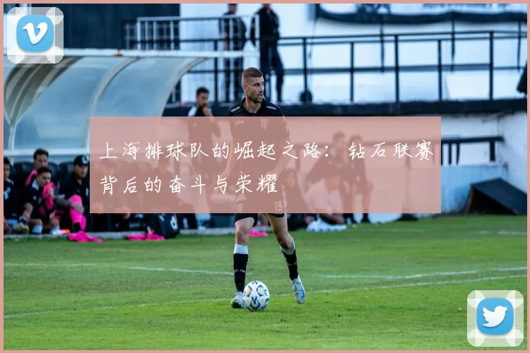 上海排球队的崛起之路：钻石联赛背后的奋斗与荣耀