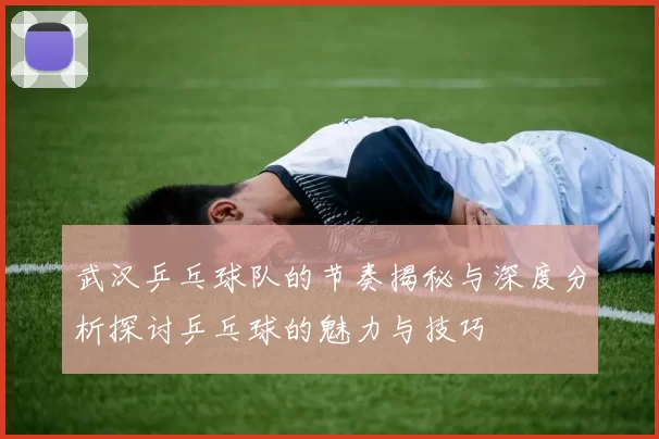 武汉乒乓球队的节奏揭秘与深度分析探讨乒乓球的魅力与技巧